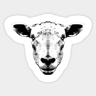 Sheep Head Portrait Sticker